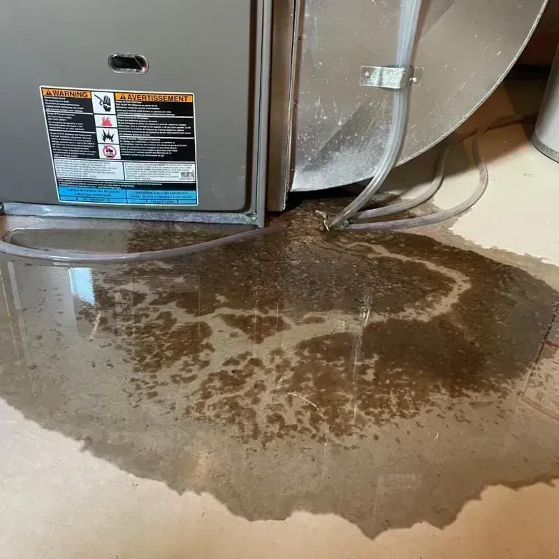 Appliance Leak Cleanup in Fowler, CO